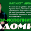 Автор-исполнитель РАДОМИР